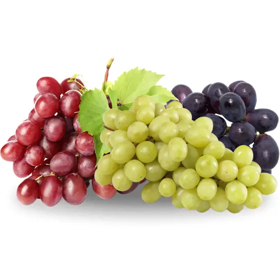 fruits image