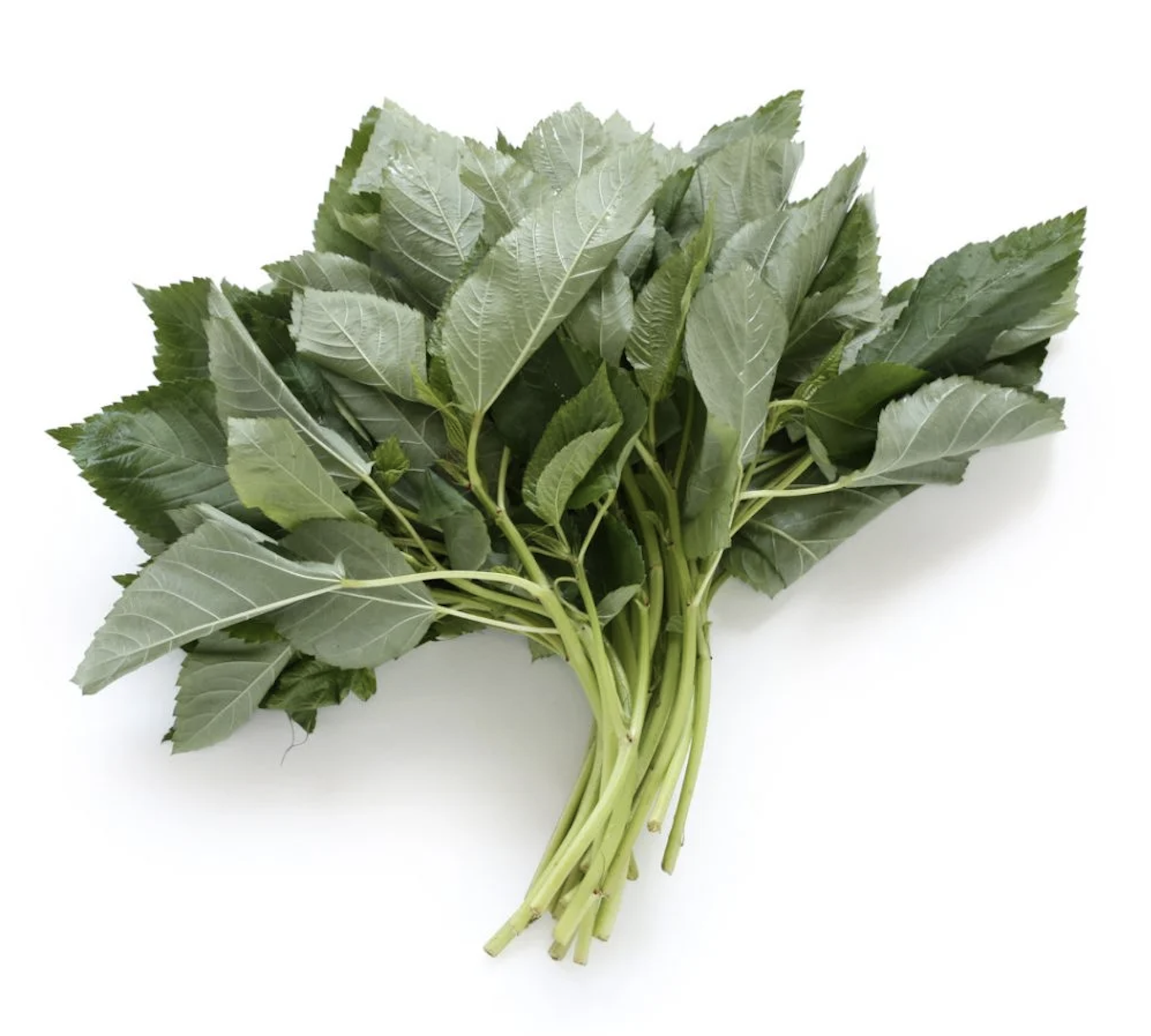fruits image